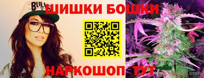 СК Обь