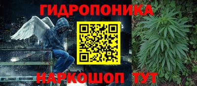 стафф Обнинск