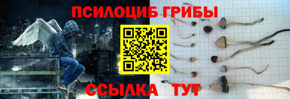 Старая Купавна  даркнет сайт  Галлюциногенные грибы мицелий  Вход с VPN  Галлюциногенные грибы мицелий 